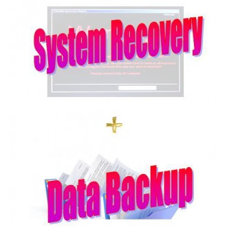 System Recovery Service With Data Backed Up